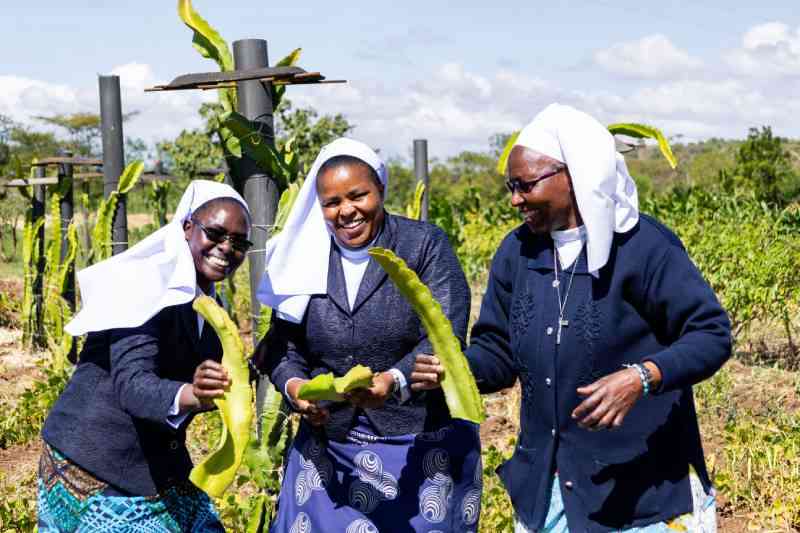 THE LEGITIMISATION CHALLENGES OF THE CATHOLIC SISTERS' SOCIAL ENTERPRISES