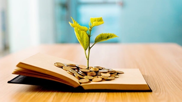 FROM FINANCIAL VULNERABILITY TO FINANCIAL HEALTH: HOW FINANCIAL LITERACY SHAPES FINANCIAL WELLBEING IN MALAWI